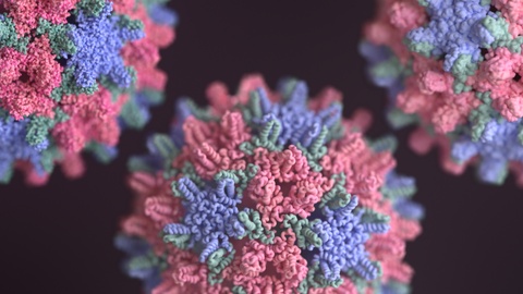 Visualising Viruses